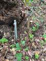 790040 Croy Rd - Photo 40