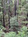 790040 Croy Rd - Photo 41