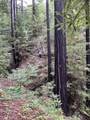 790040 Croy Rd - Photo 42