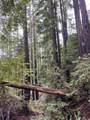 790040 Croy Rd - Photo 43