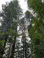 790040 Croy Rd - Photo 44