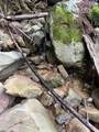 790040 Croy Rd - Photo 46
