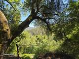 Old Santa Cruz Hwy - Photo 5