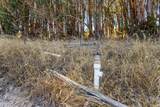 Address Not Disclosed - Photo 7