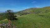 3463 Calaveras Rd - Photo 8