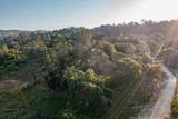 13804205 Pennyroyal Ln - Photo 10