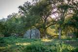 13804205 Pennyroyal Ln - Photo 3