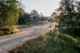 13804205 Pennyroyal Ln - Photo 7