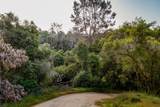 13804205 Pennyroyal Ln - Photo 9