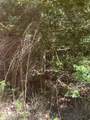  Cresci - Photo 1