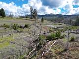 Old Emigrant Trail West - Photo 14