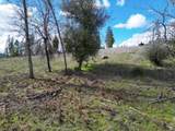 Old Emigrant Trail West - Photo 15