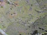 Old Emigrant Trail West - Photo 7