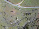 Old Emigrant Trail West - Photo 8