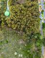 0 Everglades - Photo 13