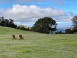 24 Vasquez Trl - Photo 8