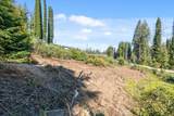 122 Cypress Tree Ln - Photo 14