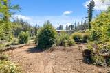 122 Cypress Tree Ln - Photo 9