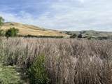 Pacheco Pass Hwy - Photo 11