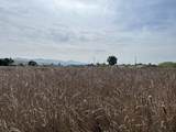 Pacheco Pass Hwy - Photo 12