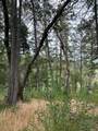 11930 Graton Rd - Photo 10