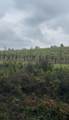 11930 Graton Rd - Photo 14