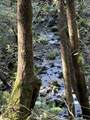 11930 Graton Rd - Photo 3