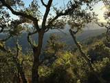 13 Cantera (Lot 185) Run - Photo 8