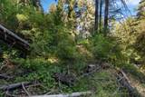 146 Starview Pl - Photo 4