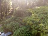 146 Starview Pl - Photo 5