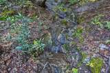 0 Montebello Rd - Photo 32