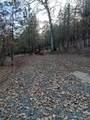 10255 Turkey Trot Pl - Photo 10