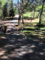 10255 Turkey Trot Pl - Photo 11