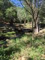 10255 Turkey Trot Pl - Photo 2