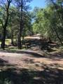 10255 Turkey Trot Pl - Photo 3