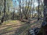 10255 Turkey Trot Pl - Photo 4