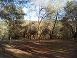 10255 Turkey Trot Pl - Photo 5