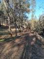 10255 Turkey Trot Pl - Photo 6