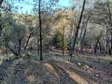 10255 Turkey Trot Pl - Photo 8