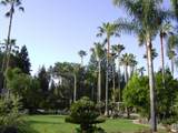 Marilyn Ln - Photo 7