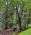 18151 Mountain View Ct - Photo 1