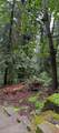 18151 Mountain View Ct - Photo 3