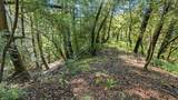 360 Rincon Way - Photo 11