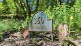 360 Rincon Way - Photo 2