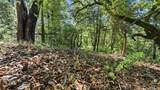 360 Rincon Way - Photo 24