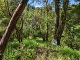 360 Rincon Way - Photo 28