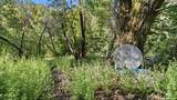 360 Rincon Way - Photo 37