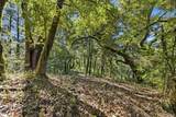 360 Rincon Way - Photo 4