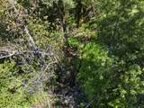 360 Rincon Way - Photo 43