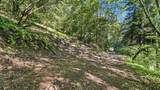 360 Rincon Way - Photo 6